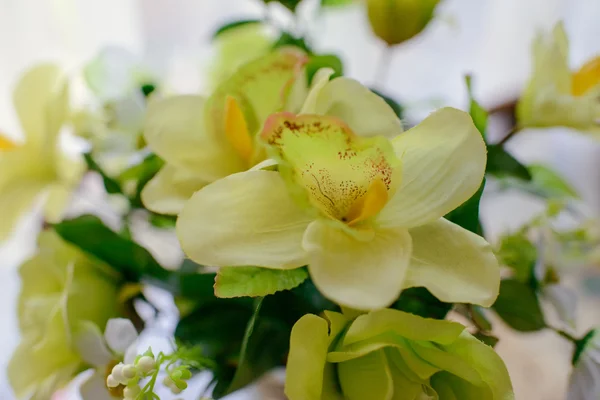 様々 な美しい花の花束 — ストック写真