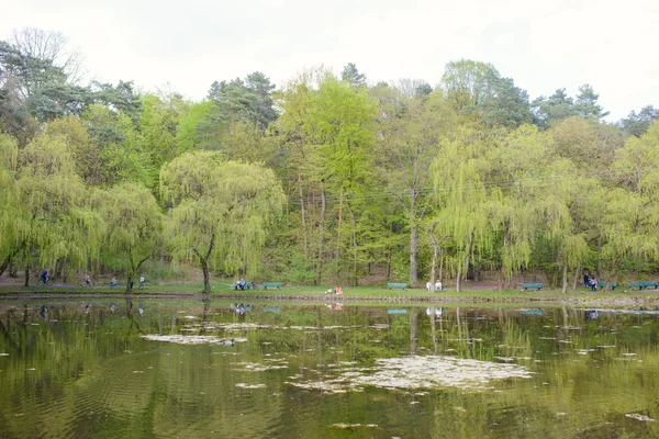 Spring Park. Lake in the spring park. Spring landscape. — Stock Photo, Image