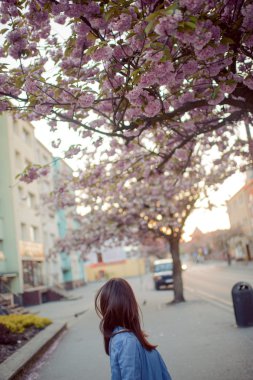 açık havada bahar gününde pembe çiçekleri gülümseyen güzel kadın modeli portresi