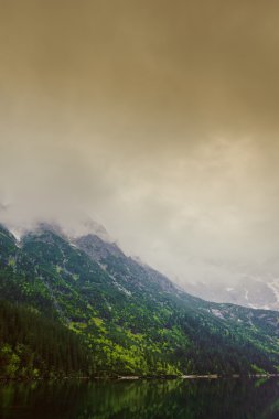 Sisli dağda yaz sabahı