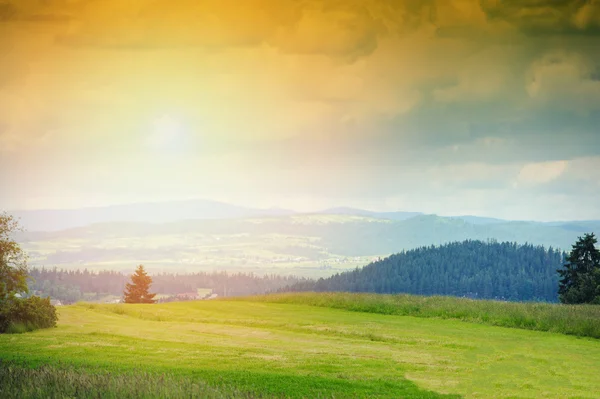 Hills covered with green grass under blue sky — Stock Photo, Image