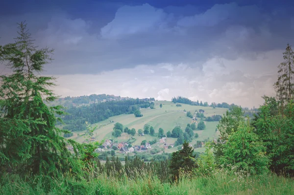 Літні гори зелена трава і блакитне небо пейзаж — стокове фото