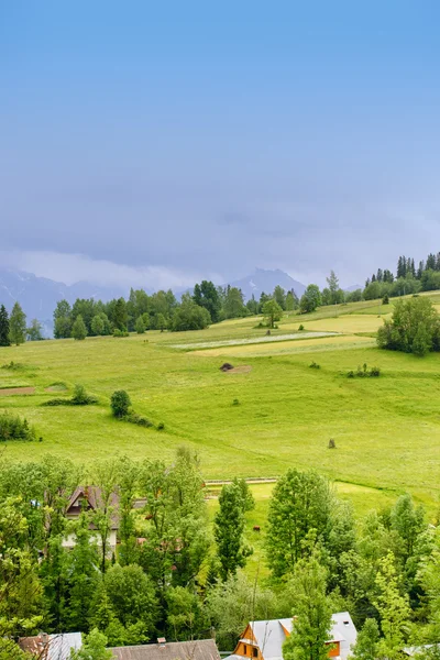 봄 풀과 산의 밭 — 스톡 사진