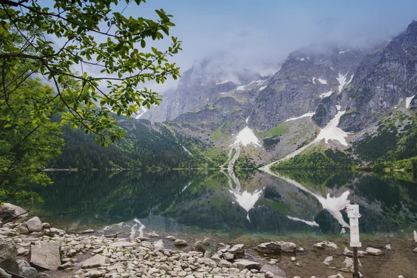 Horské jezero v létě — Stock fotografie