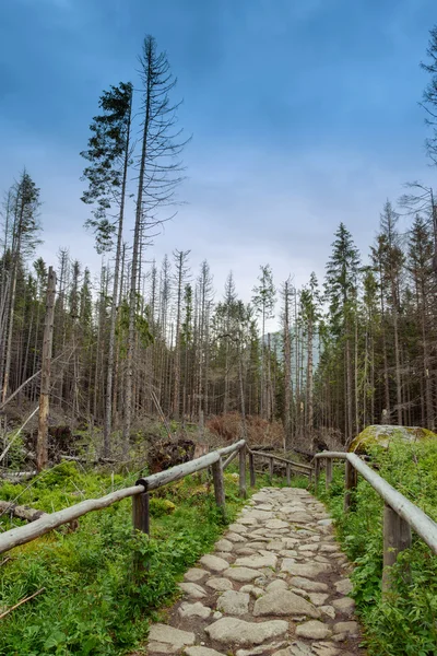 Sendero en las montañas — Foto de Stock