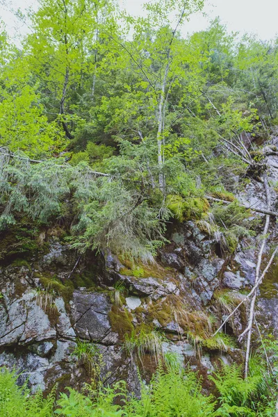 Stenig sluttning i fjällen — Stockfoto