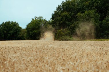 Buğday hasadını birleştir. Sumemr zamanı. Kopyalama alanı olan tarım arkaplanı.