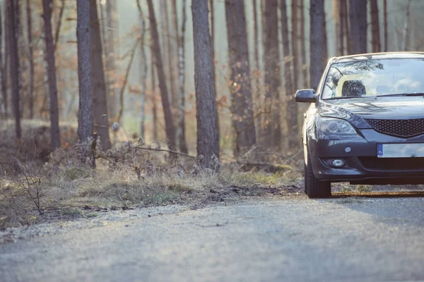 Gri Hatchback Arabası Ormanın Yanına Park Edilmiş — Stok fotoğraf