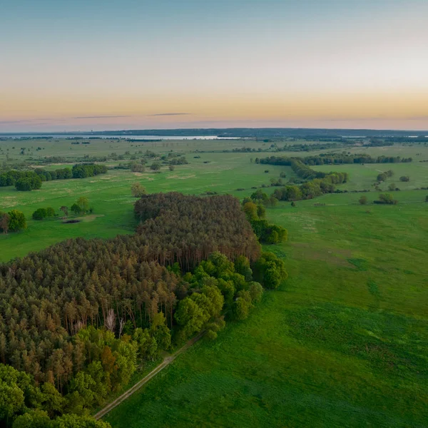 Vista Aérea Del Bosque Verde Desde Arriba Fotografía Drones — Foto de Stock