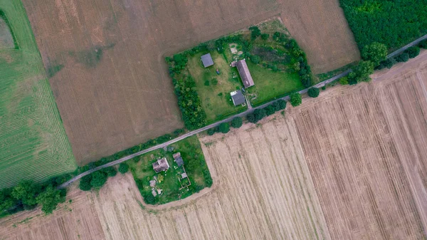 Drone Foto Del Campo Grano Verde Brillante Separato Dalla Strada — Foto Stock