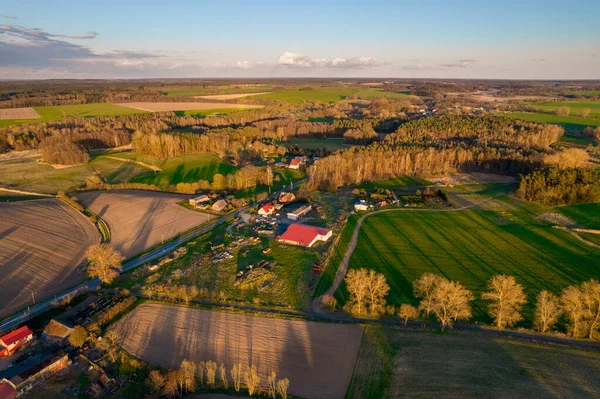 Drone Foto Del Campo Trigo Verde Brillante Separado Por Carretera — Foto de Stock