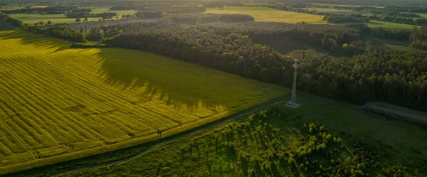 Drone Foto Del Campo Trigo Verde Brillante Separado Por Carretera — Foto de Stock