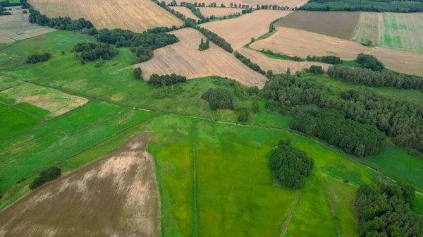 Drone Foto Del Campo Trigo Verde Brillante Separado Por Carretera — Foto de Stock