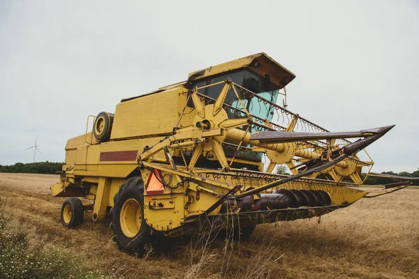 Combina Raccolta Del Grano Somma Tempo Agricoltura Sfondo Con Spazio — Foto Stock