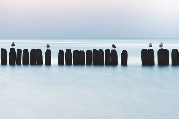 Oostzee Bij Prachtige Zonsondergang Miedzyzdroje Strand Stad Waar Het Festival — Stockfoto