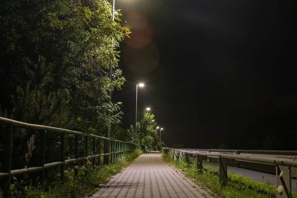 Vägen Grön Skog Våren Suddiga Människor Går Skogen — Stockfoto