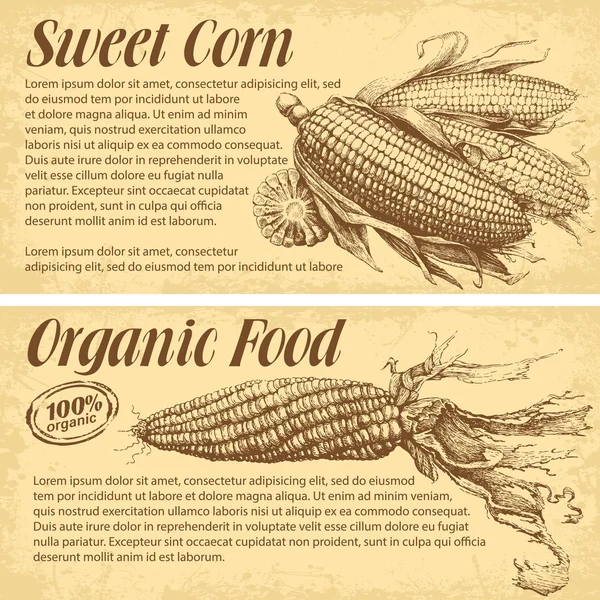 Kézzel rajzolt kukorica — Stock Vector