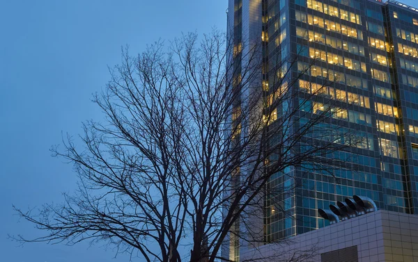 Las ramas de un árbol contra la fachada de un moderno edificio de oficinas en la noche en Poznan — Foto de Stock