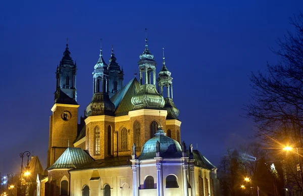 Towers Gothic Catholic cathedral during the night — Stock Photo, Image