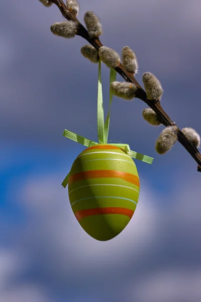 Easter egg wisiał na kotki z nieba — Zdjęcie stockowe