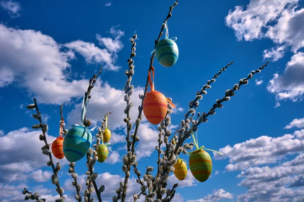 Easter eggs hung on catkins against the sky — Stock Photo, Image