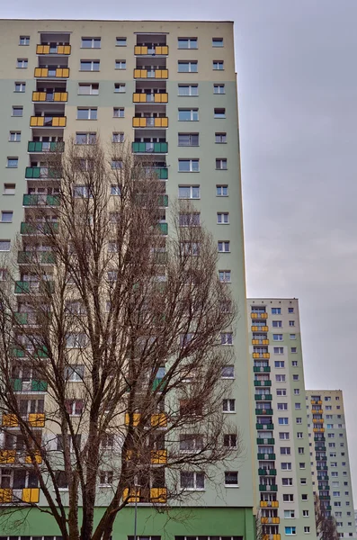 Takken van een boom en wolkenkrabbers in een woonwijk — Stockfoto