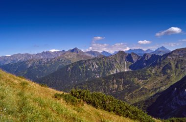 Dağ zirveleri ve yamaçları Batı Tatras içinde