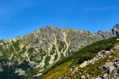 Polonya Tatras yüksek Dağları rocky doruklarına