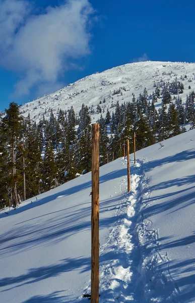 Buried in snow hiking trail in the Giant Mountains — Stock Photo, Image