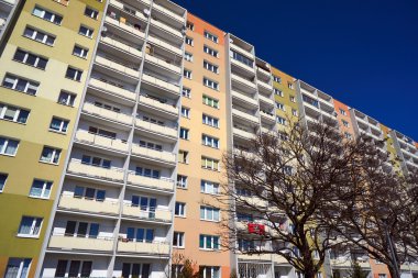 Bir ağacın bir modern konut bina cephe karşı