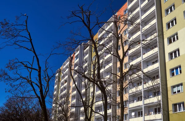 Ramas de un árbol contra la fachada de un edificio residencial moderno —  Fotos de Stock