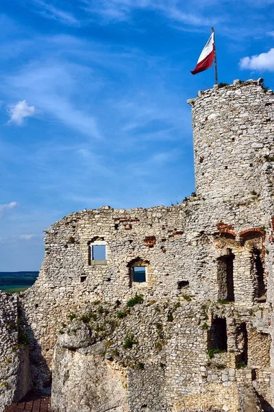 Ruiny średniowiecznego zamku z wieżą w ogrodzieniec — Zdjęcie stockowe
