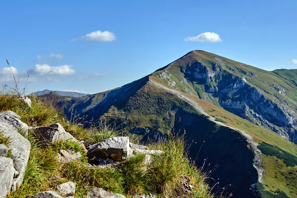 Yüksek Tatras Dağları rocky doruklarına — Stok fotoğraf