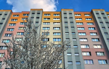 Modern konut bina cephe karşı bahar beyaz çiçekli ağaç 