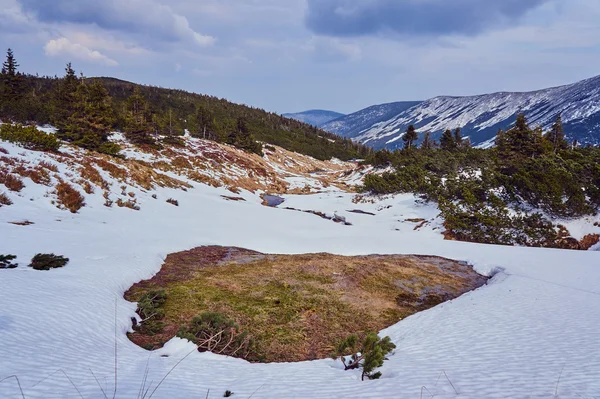 Fluxo de montanha na primavera — Fotografia de Stock