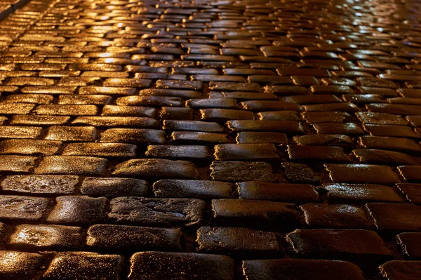 雨にぬれた石畳の通り — ストック写真