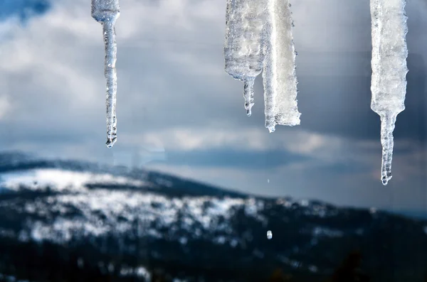 Glaces suspendues au toit de l'abri dans les Monts Géants — Photo