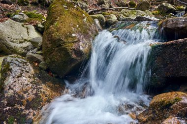 Giant Mountains bahar dağ dere