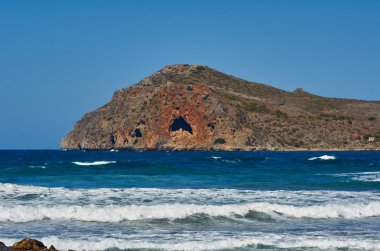 Warta Nehri kıyısında bir orman görünümünü