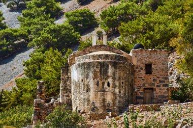 Warta Nehri kıyısında bir orman görünümünü