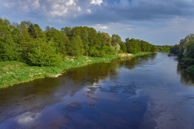 Warta Nehri kıyısında bir orman görünümünü