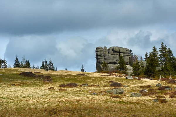 Groupe de roches dans les Monts Géants — Photo