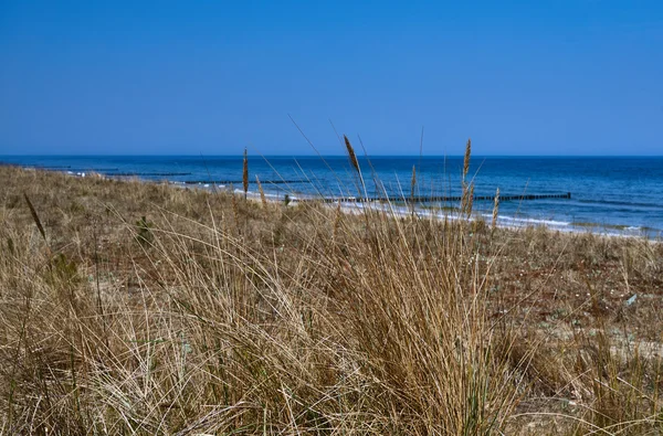 Dune di sabbia, spiaggia e moli sulla costa del Mar Baltico — Foto Stock