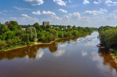Nehirde Warta banka büyüyen ağaçlar