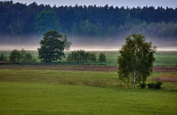 Paisagem rural com raias de névoa — Fotografia de Stock