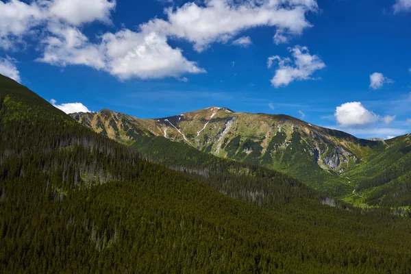 Cordillera cubierta de hierba en las montañas Tatra —  Fotos de Stock