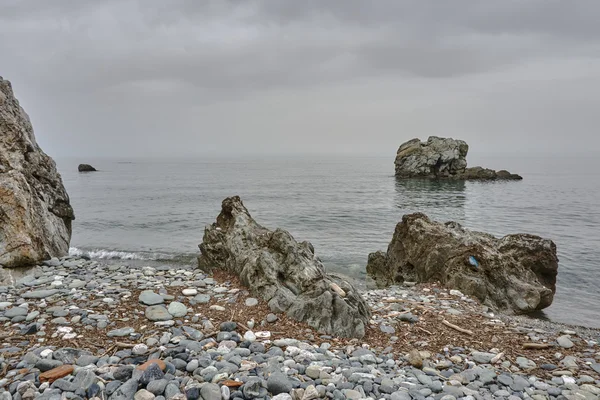 Una playa rocosa en la costa —  Fotos de Stock