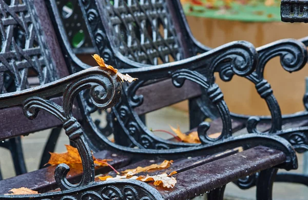 Regn och höstlöv på en parkbänk — Stockfoto