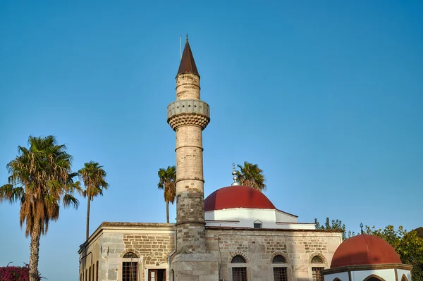 Palm and Turkish minaret in Kos in Greece — Stock Photo, Image