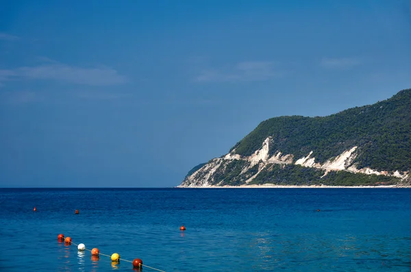 Seaside klippan täckt med tallskog — Stockfoto